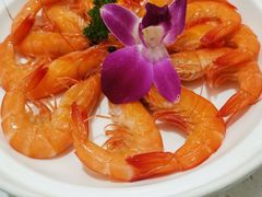 -若爱猪肚鸡·啫啫煲(循礼门M+店)