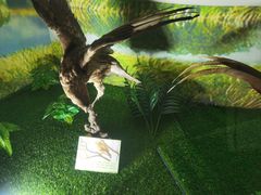 -下渚湖国家湿地公园科普馆