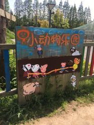 -前小桔亲子创意农场·草莓采摘·露营烧烤