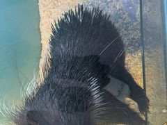 -FAIRYLAND龙族星球主题餐厅(凯丹广场店)