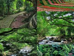 -广州市石门国家森林公园