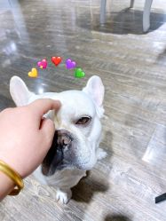 -IDEA·艾蒂尔科技美肤·日式美甲美睫集合店