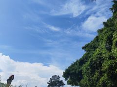 -海南铜鼓岭景区
