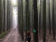 -山王坪喀斯特国家生态公园