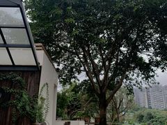 -悦哉·派对·草坪婚礼·围炉煮茶(三圣乡店)