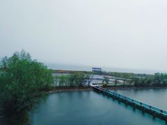 -鄱阳湖国家湿地公园