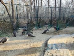 -秦皇岛野生动物园