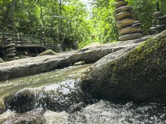 -茅兰沟国家森林公园