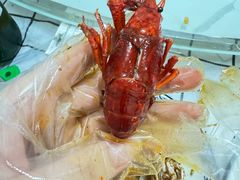 -徐嘉赫龙虾馆