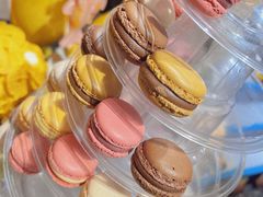 -麒麟中餐厅·经典粤菜·地道菜式老字号(广州长隆酒店)