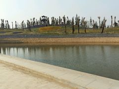 -南通洲际绿博园