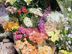 -桂林市花鸟市场