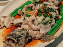 鲜花椒蒸笋壳鱼-侨美·唐荔园·40年地道粤菜