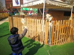 -萌宠亲子动物乐园(槐房万达店)