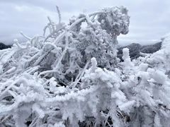 -永州阳明山国家森林公园