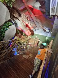 -恐龙探索乐园(磁器口店)