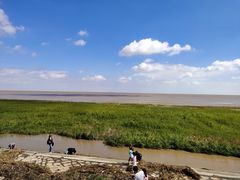 -南汇嘴观海公园