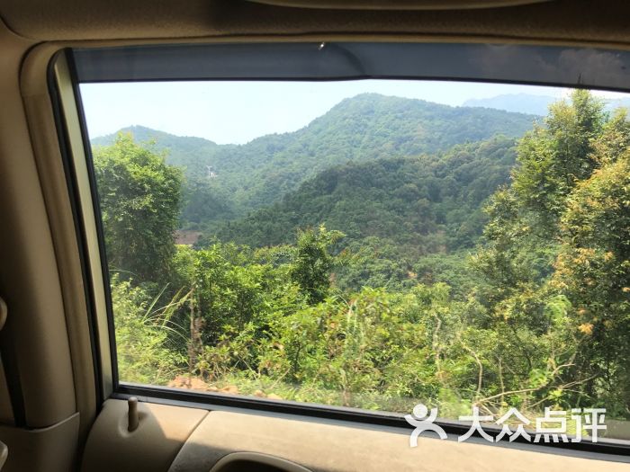 天马山-图片-信宜市周边游-大众点评网