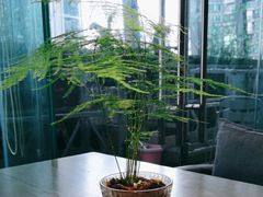-熹素·鲜美素食Vegetarian (天河领展店)