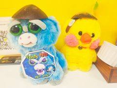 -志龙皇冠吃货椰子铺