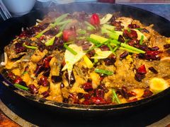 -老板恋上鱼(恒隆广场店)