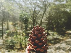 -福清灵石山国家森林公园