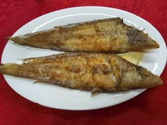 -蛇口康乐快餐鱼仔档(翠苑小区店)
