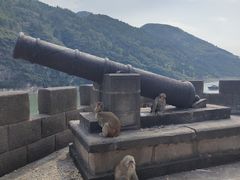 -白帝城·瞿塘峡景区