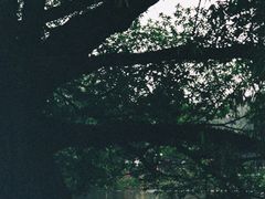-晓港公园