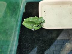 -上海大自然野生昆虫馆