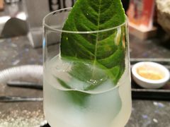 -毛毛虫酒吧