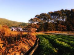 -塔川景区
