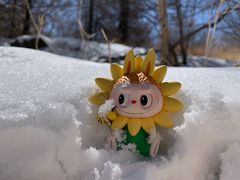 -白草畔自然风景区