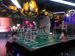 -中国宋庆龄青少年科技文化交流中心