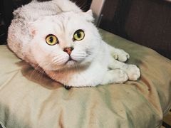 -MIKAKU(万达广场上海宝山店)