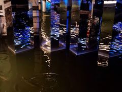 -Peet's Coffee皮爷咖啡(豫园店)