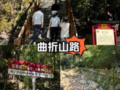 -云碧峰国家森林公园