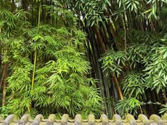 -成都杜甫草堂博物馆