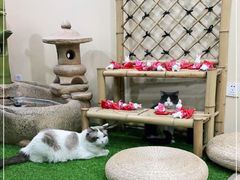 -白兔子密室(长寿路店)