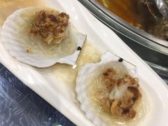 扇贝-福泉海码头(六里山店)