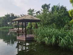 -成飞公园