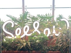 -Seesaw Coffee(朝阳大悦城店)