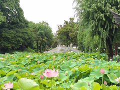 -丝绸小镇荻港古村