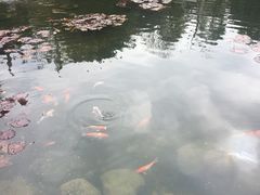 -晋江五店市传统文化旅游区