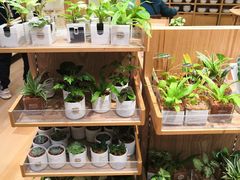 -MUJI无印良品(环球港店)