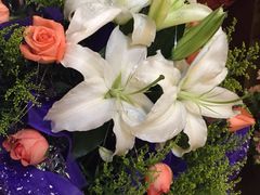 -红叶日料·放题·海胆·定食(星海店)