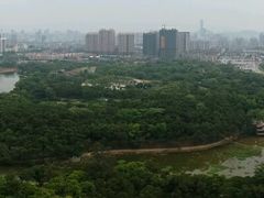 -雀儿山公园