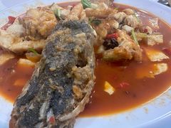 -煲来饱去冷水鱼