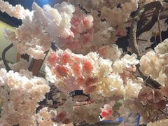 -三月居酒屋(青年大街店)