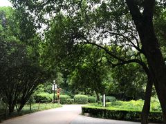 -西苑公园